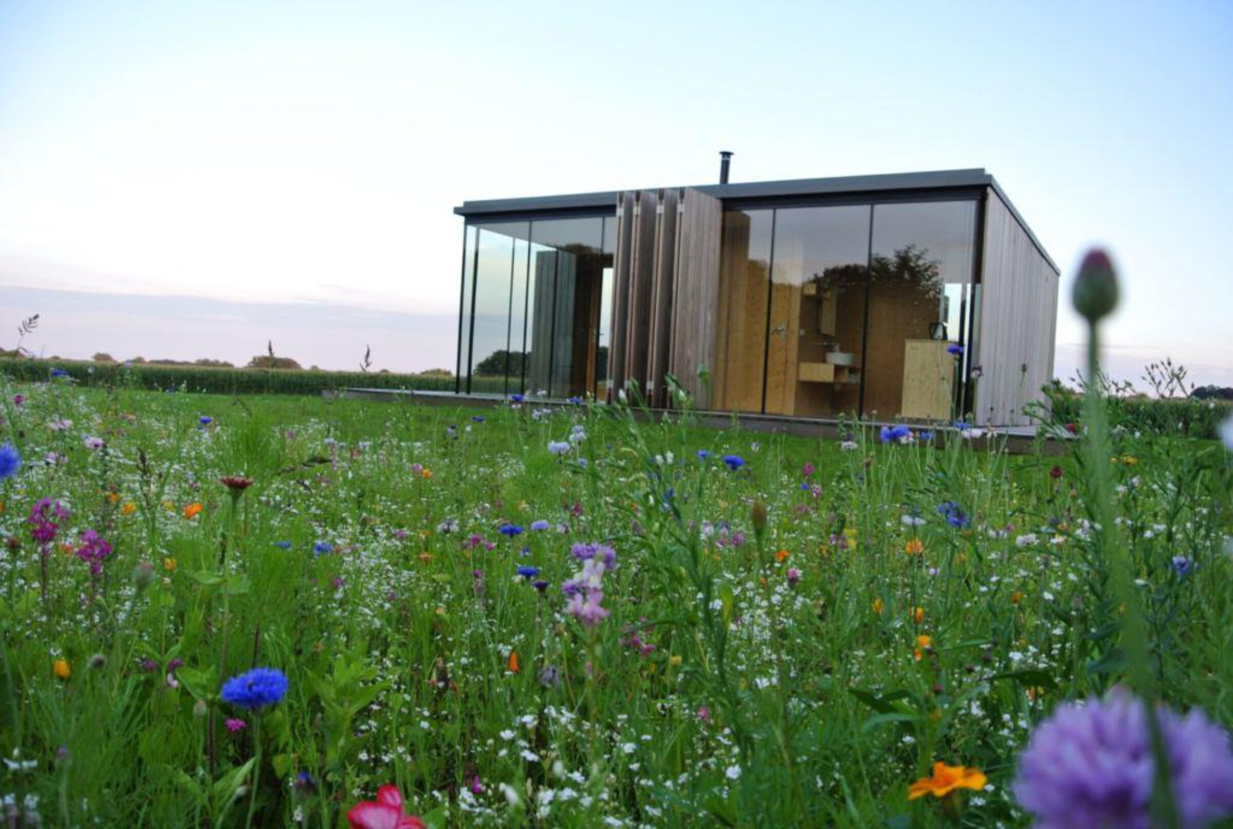 Tiny House Landschapkamer Natuurhuisje In Twente9 1024X688