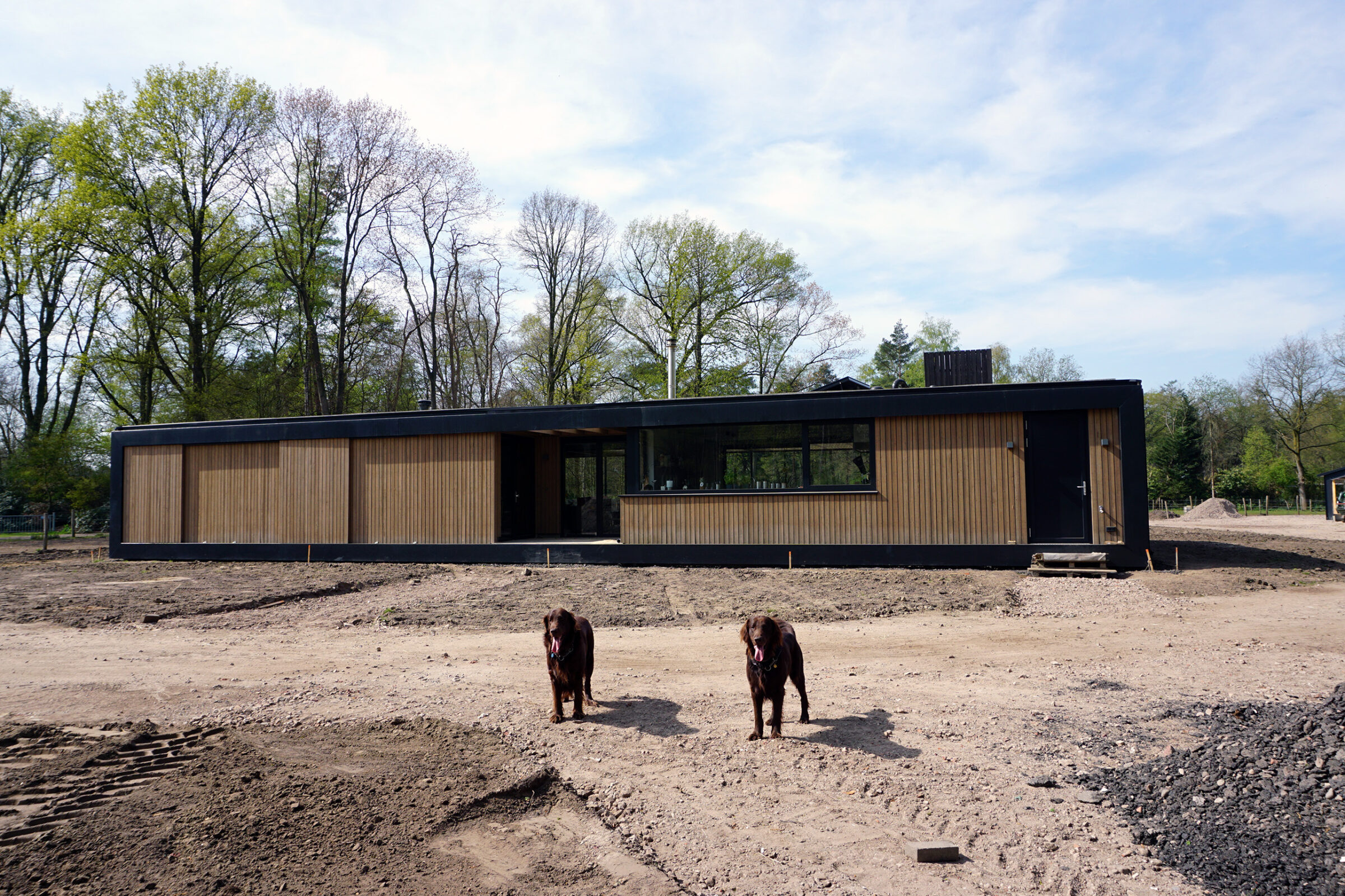 Schumer beeld 02