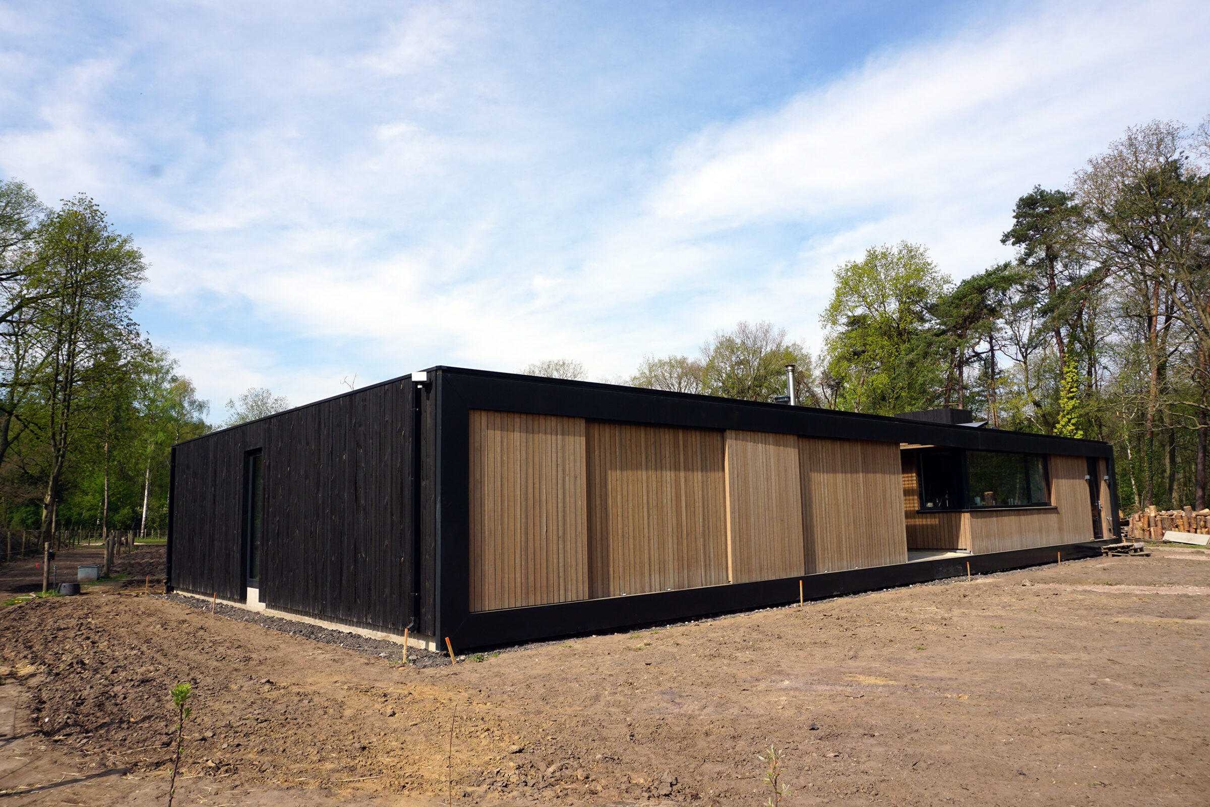 Schumer beeld 04