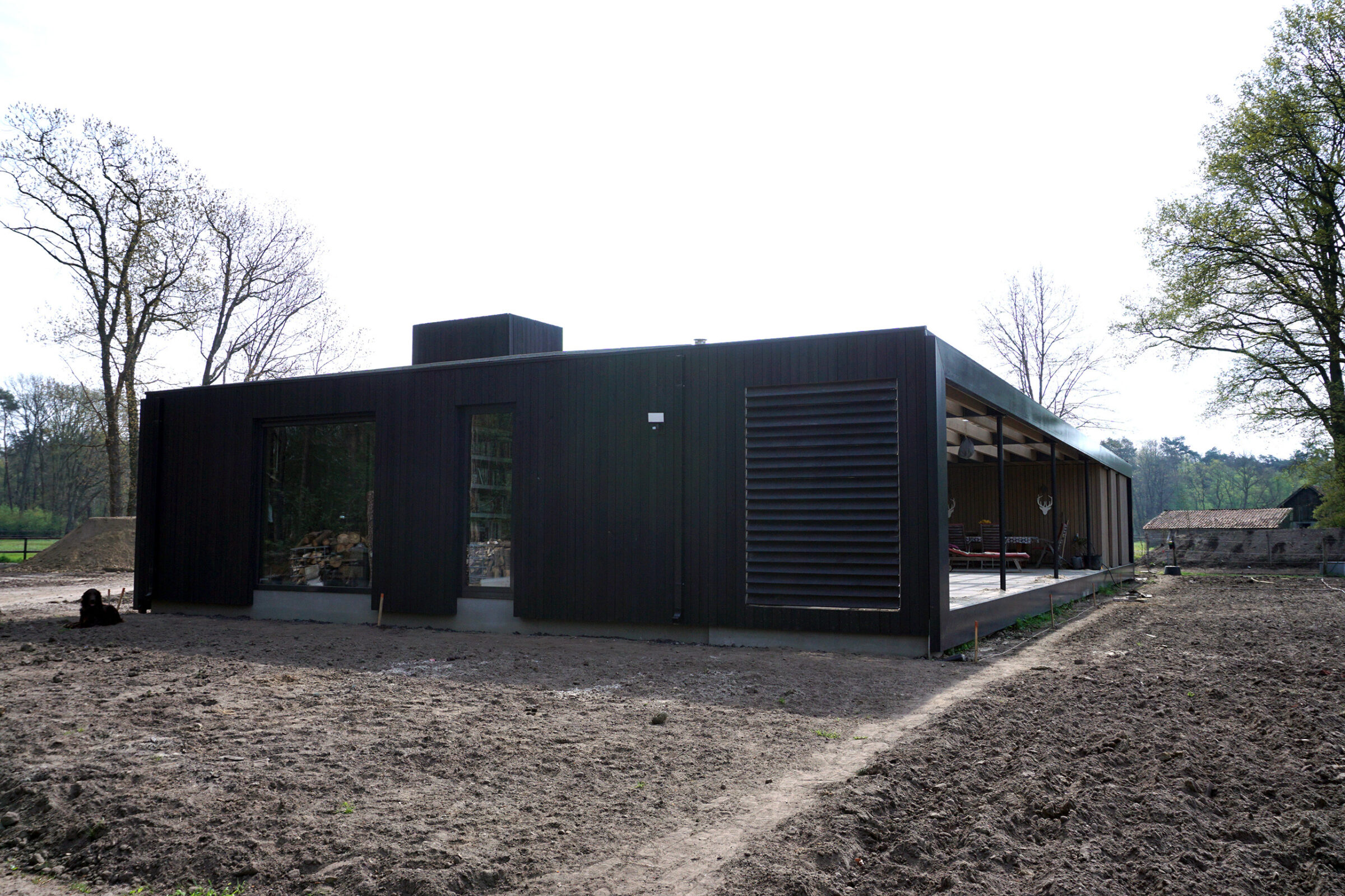 Schumer beeld 06