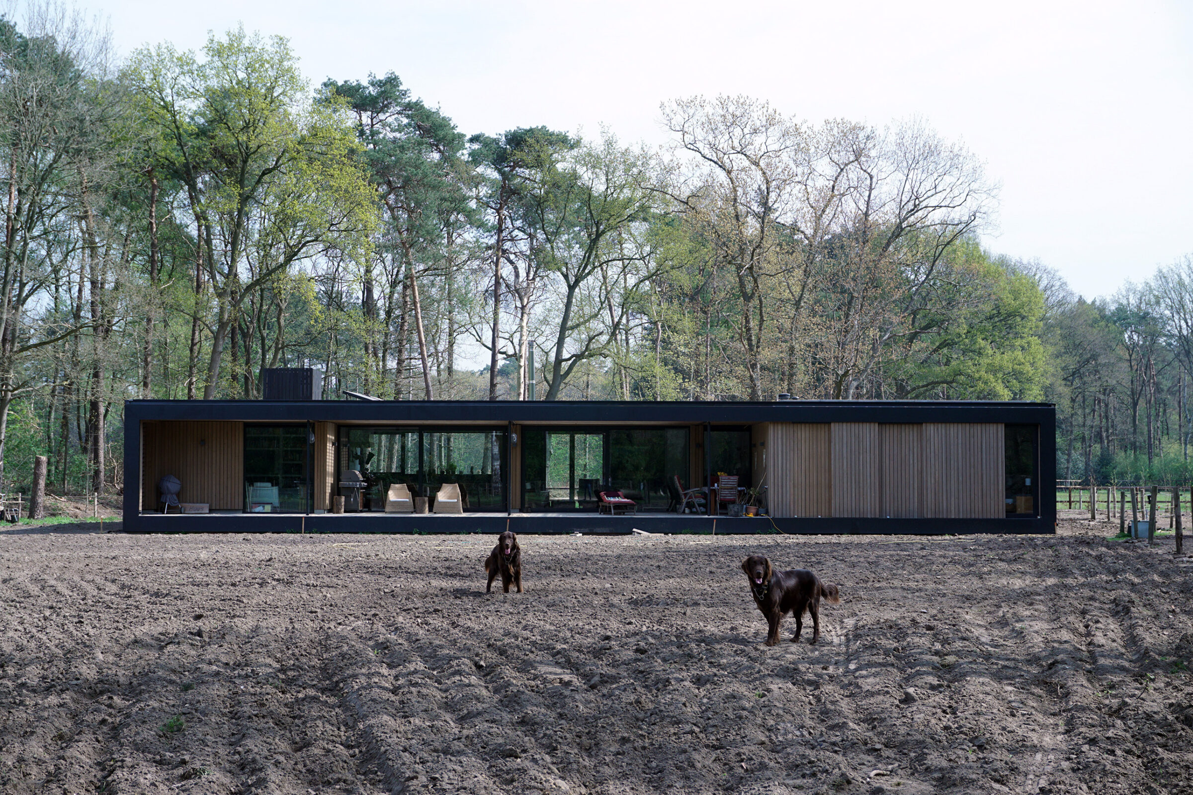 Schumer beeld 07