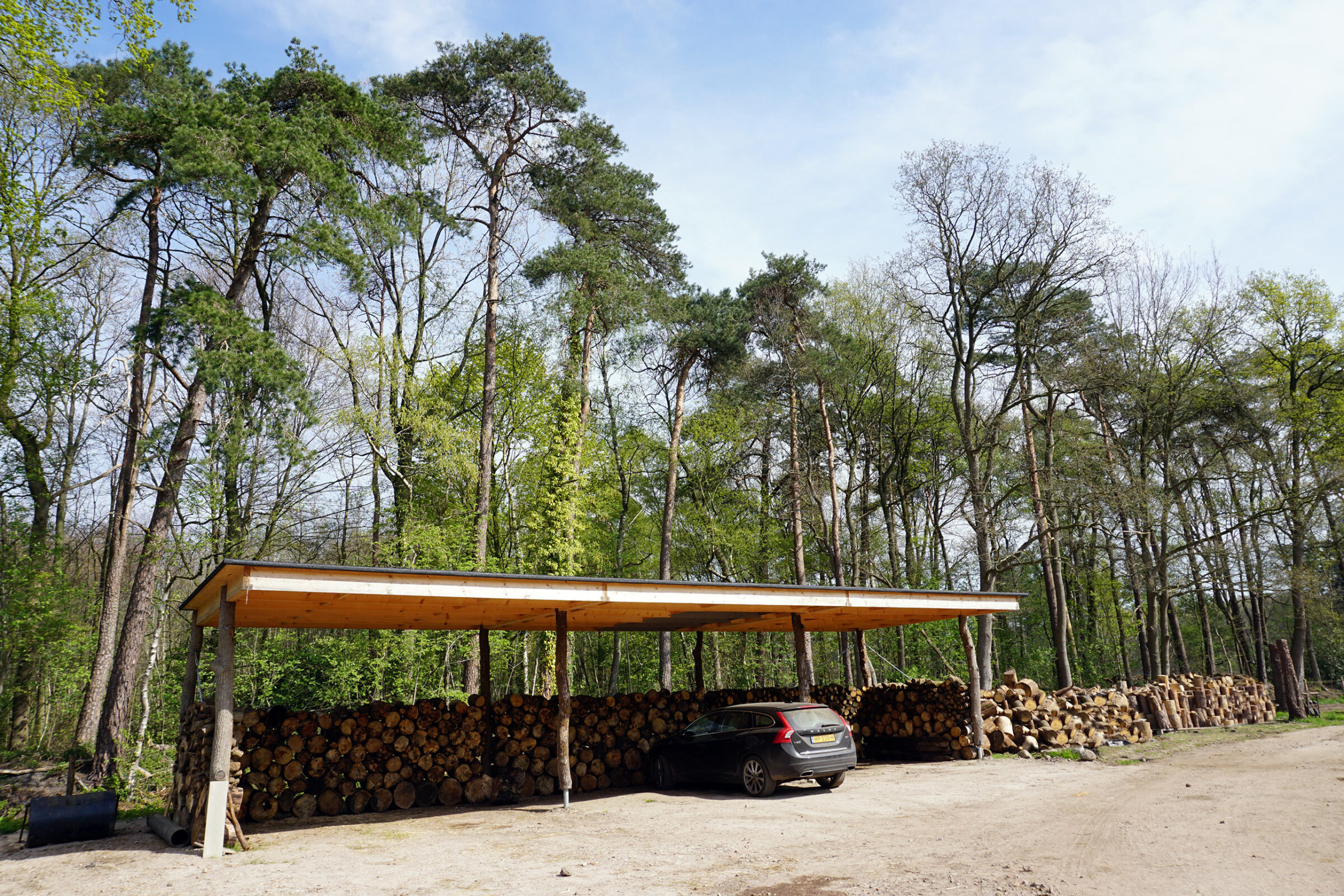 Schumer beeld 08