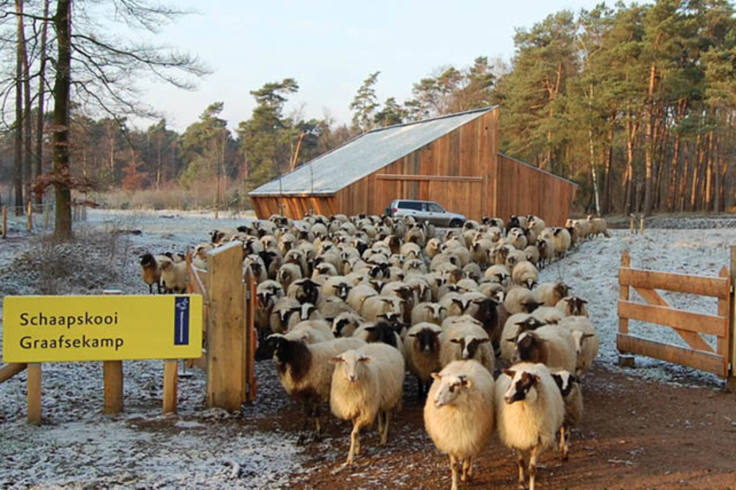Schaapskooi Graafsekamp Schipperdouwesarchitectuur 1